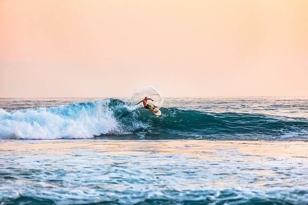 Les Meilleurs Spots pour Faire du Surf en Californie : Un Guide Complet