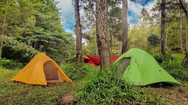 Guide des campings pas chers à Vias pour familles
